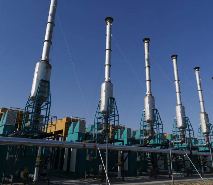 沼氣發(fā)電冷干機案例